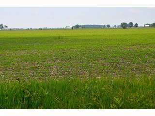 Property photo 93 - LAND AUCTION - 700+/- ACRES OFFERED IN 16 TRACTS IN ALLEN COUNTY, INDIANA